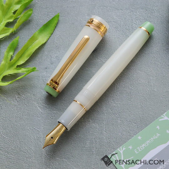 SAILOR Limited Edition Pro Gear Slim Fountain Pen Set - Ezomomonga