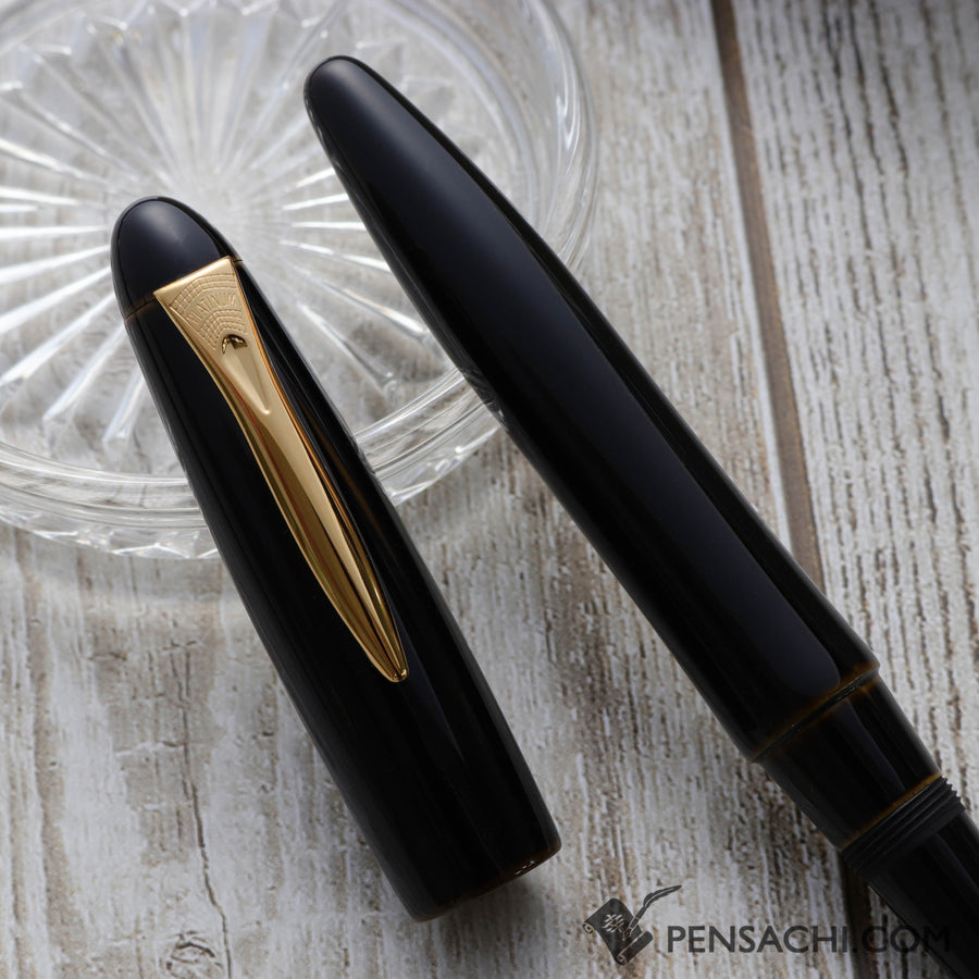 PLATINUM Izumo Tamenuri Fountain Pen - Biwatame