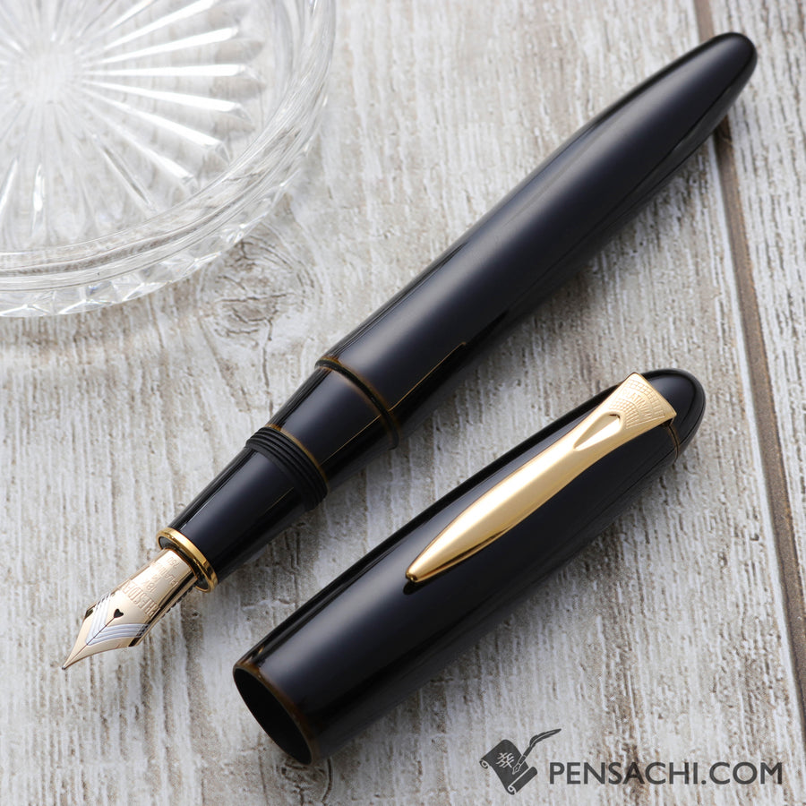 PLATINUM Izumo Tamenuri Fountain Pen - Biwatame