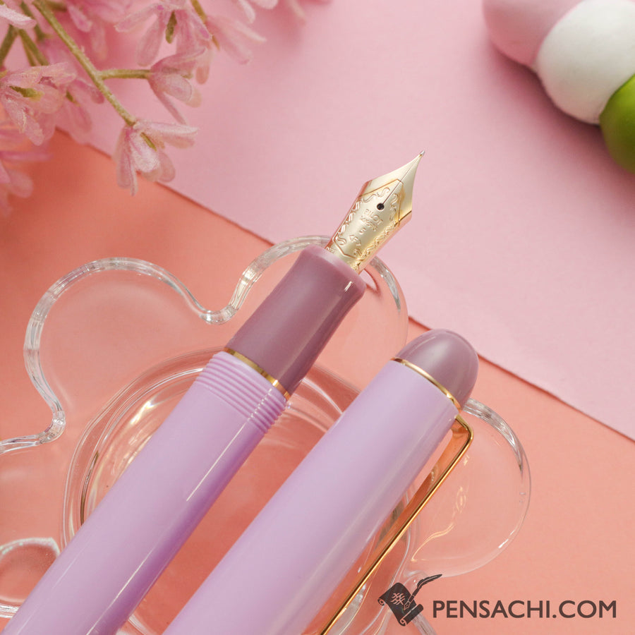 PILOT Limited Edition Custom 74 Fountain Pen - Benifuji - PenSachi Japanese Limited Fountain Pen