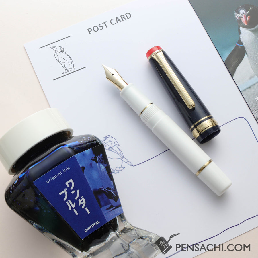 SAILOR Limited Edition Pro Gear Slim Mini Fountain Pen Set - Northern Rockhopper Penguin - PenSachi Japanese Limited Fountain Pen