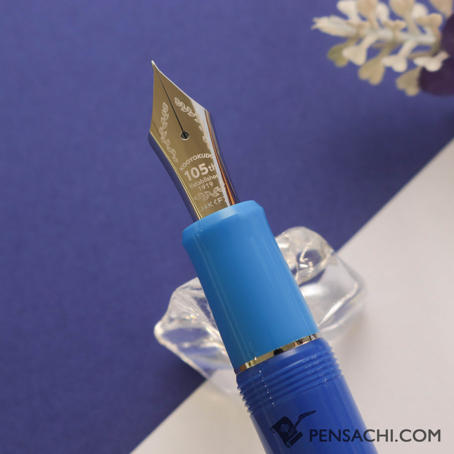 PILOT Limited Edition Custom Heritage 912  Fountain Pen - Aikabuto