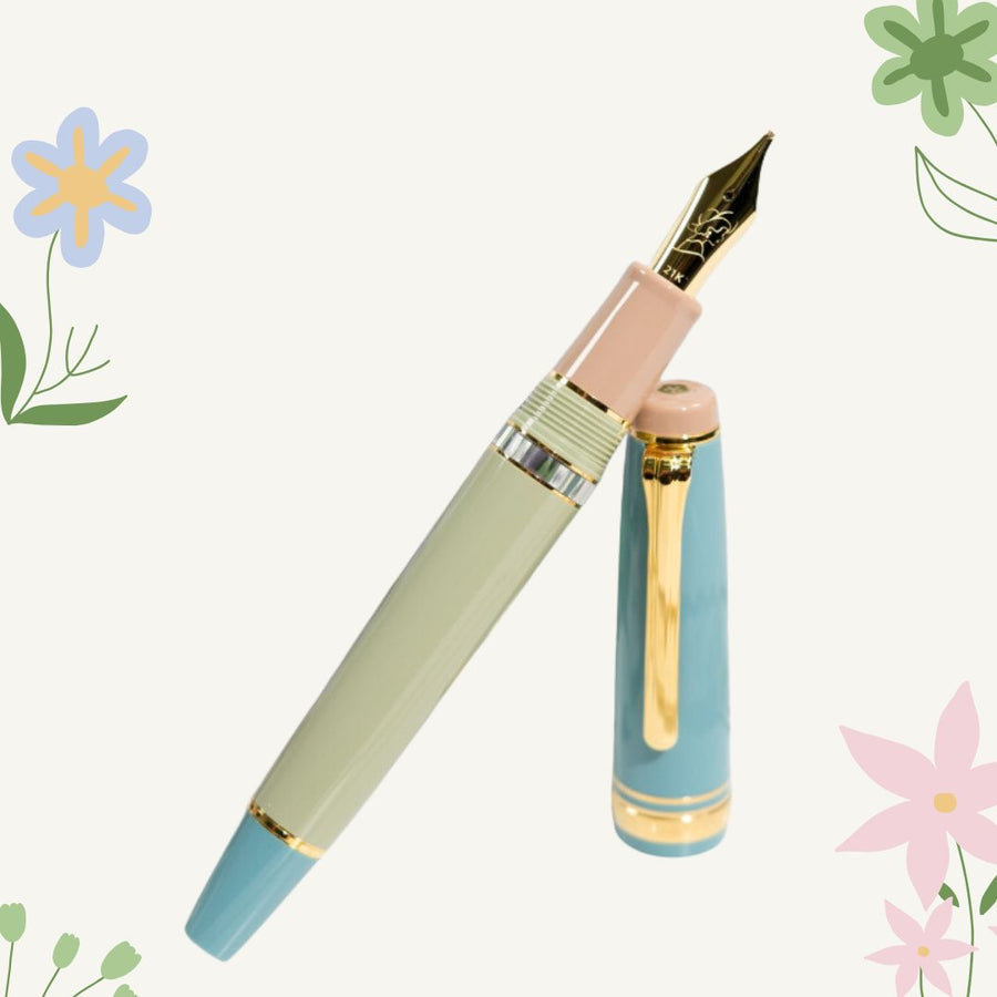 SAILOR Limited Edition Pro Gear Realo Fountain Pen - Ijuin Torinoko