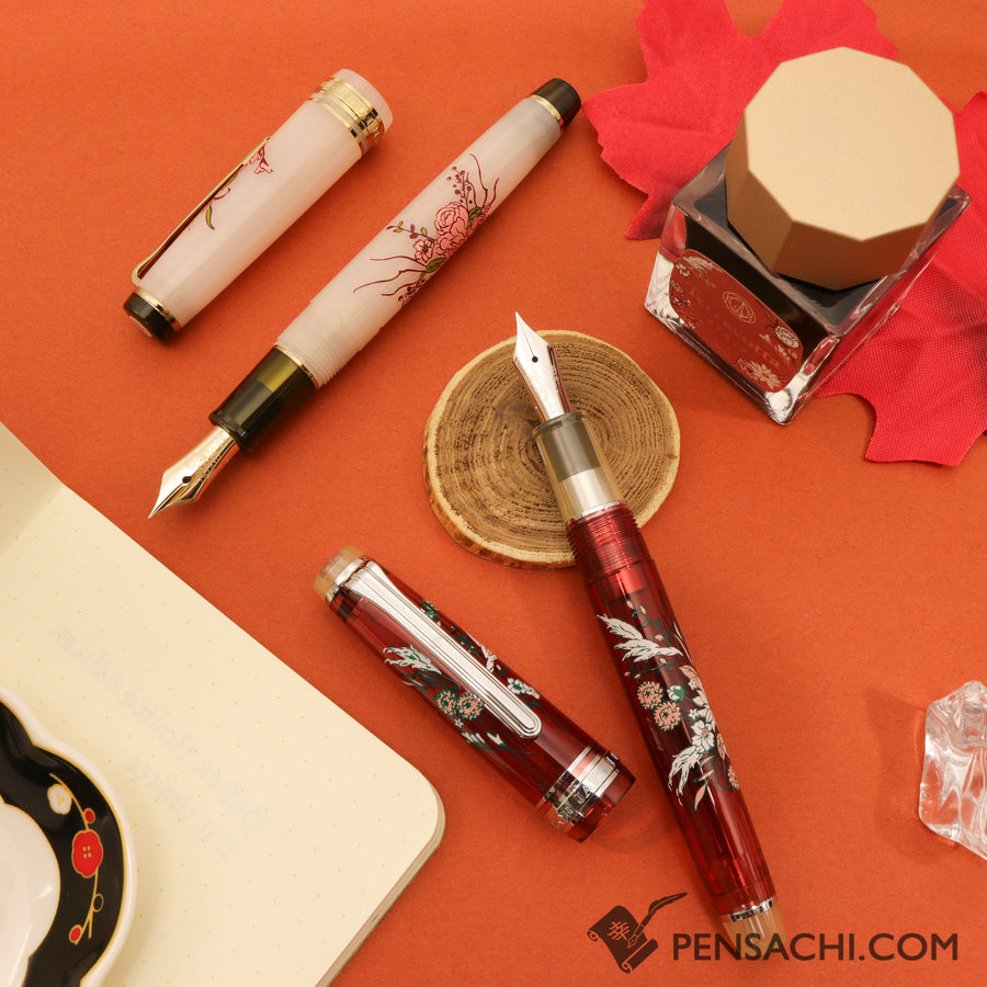 SAILOR Limited Edition Pro Gear Slim Set - Antique Bouquet Silver Red