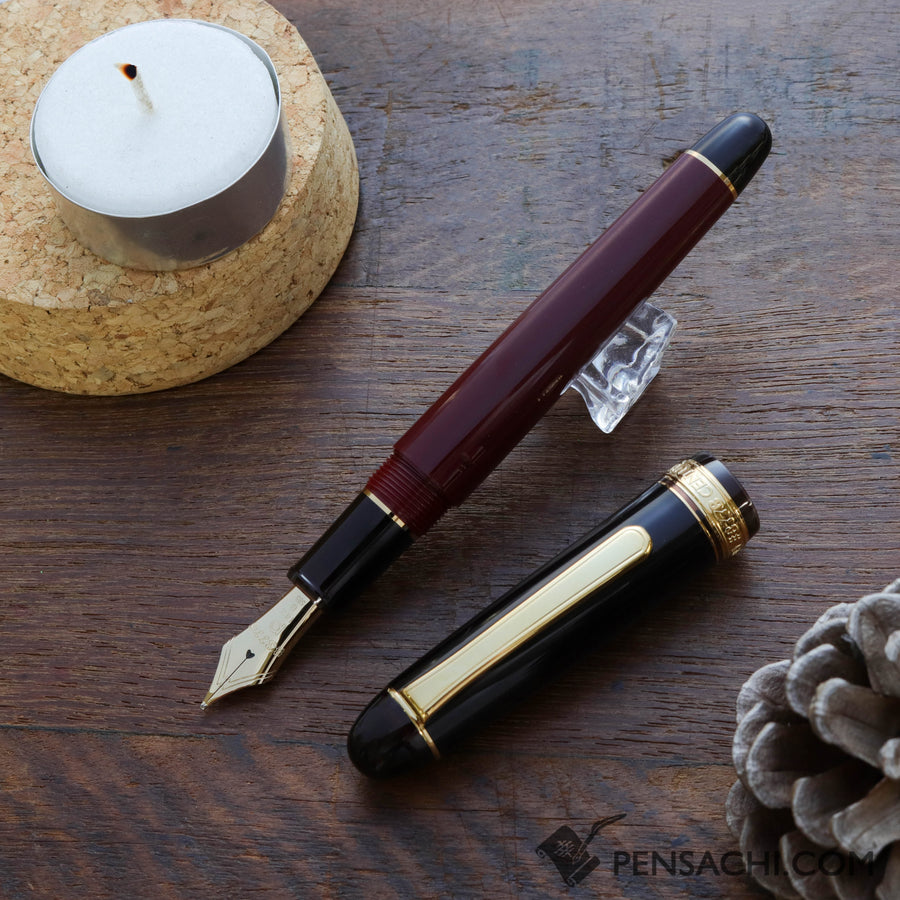 PLATINUM #3776 Limited Edition Fountain Pen - Coffee Jelly