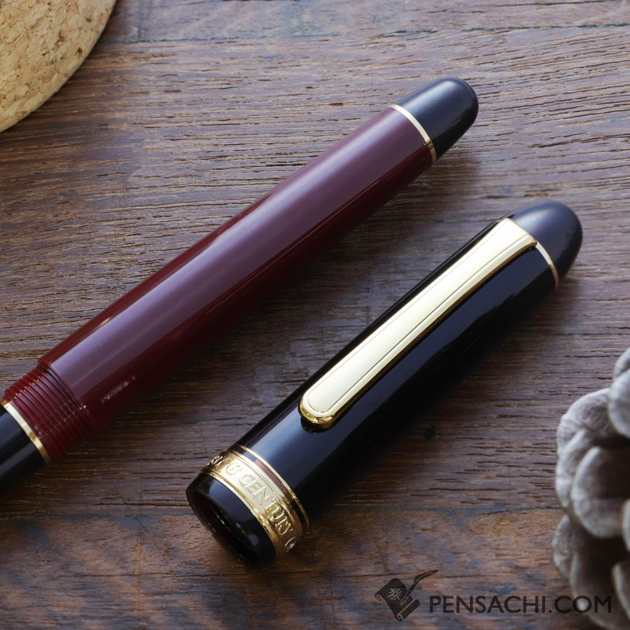 PLATINUM #3776 Limited Edition Fountain Pen - Coffee Jelly