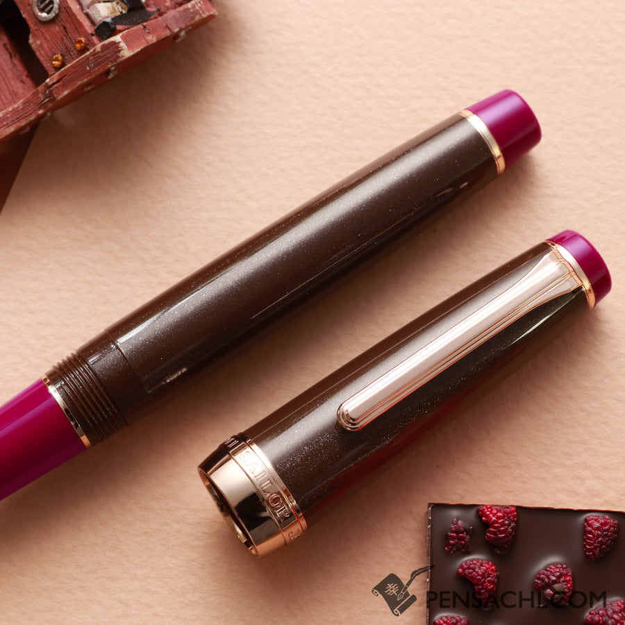 SAILOR Pro Gear Fountain Pen - Chocolat Framboise