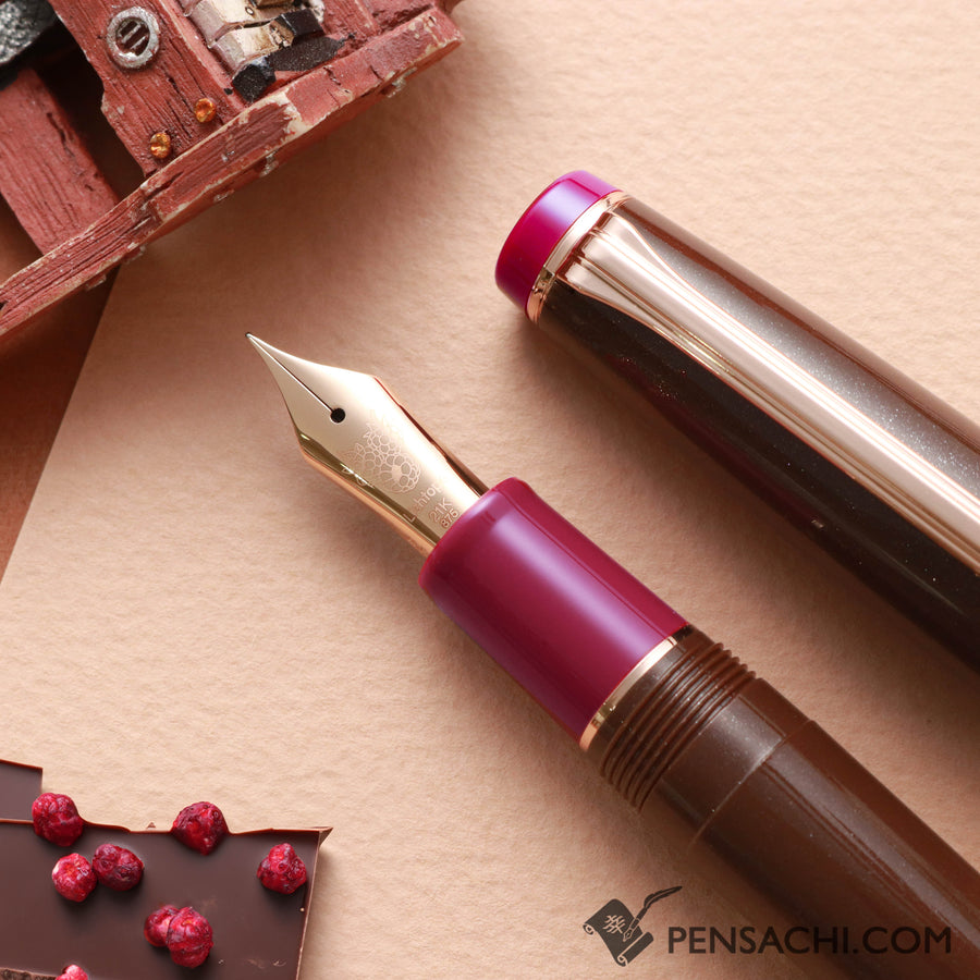 SAILOR Pro Gear Fountain Pen - Chocolat Framboise