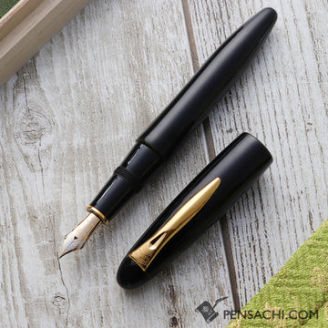 PLATINUM Izumo Tamenuri Fountain Pen - Soratame