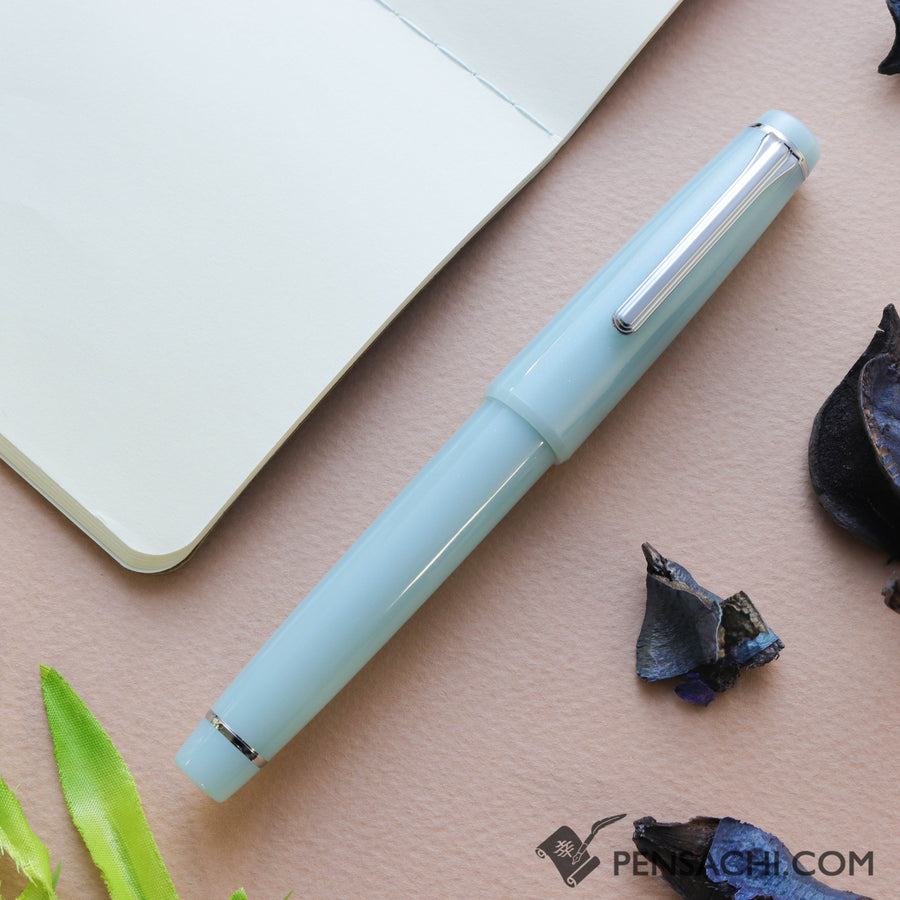 SAILOR Limited Edition Pro Gear Classic Fountain Pen - Hisoku