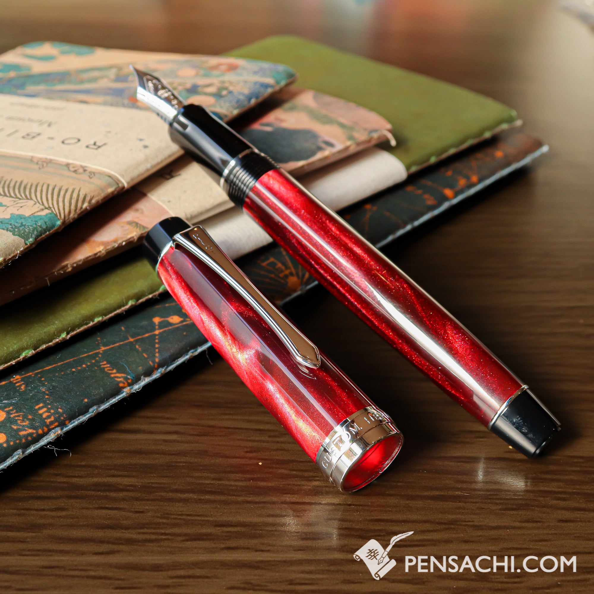 PILOT Custom Heritage SE Fountain Pens | PenSachi